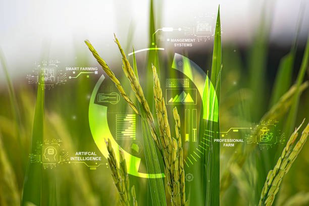 AI smart rice cultivation technology, precision agriculture monitoring system supports agricultural harvesting robot & intelligent farm machinery for grain crop farming